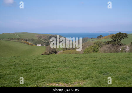 Speranza Barton farmland guardando in giù verso la speranza Cove, Kingsbridge, South Devon, Inghilterra, Regno Unito. Foto Stock