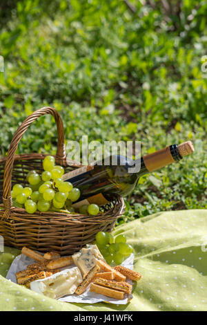 Cesto picnic con vino, formaggio e Uva su un'erba Foto Stock