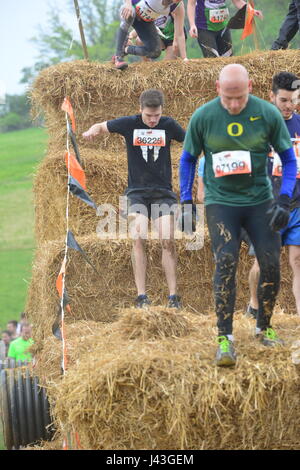 Robusto Mudder lancia nuove di zecca eventi a Henley on Thames,dura Mudder è un 12 mile (18-20 km) ostacolo corso destinato a test fisici e mentali forza 6 maggio 2017 foto da Brian Jordan Foto Stock