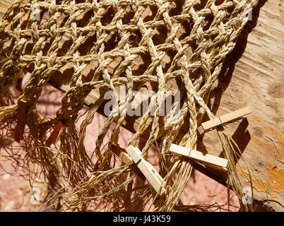 Sparto halfah erba utilizzato per l'artigianato come corde e basketry " espadrilles " Foto Stock