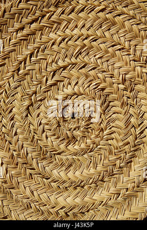 Sparto halfah erba utilizzato per l'artigianato come corde e basketry " espadrilles " Foto Stock