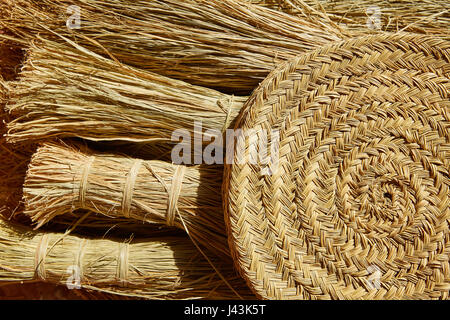 Sparto halfah erba utilizzato per l'artigianato come corde e basketry " espadrilles " Foto Stock