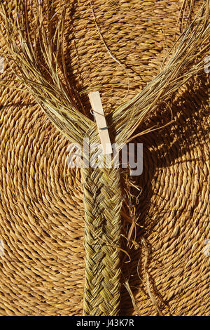 Sparto halfah erba utilizzato per l'artigianato come corde e basketry " espadrilles " Foto Stock