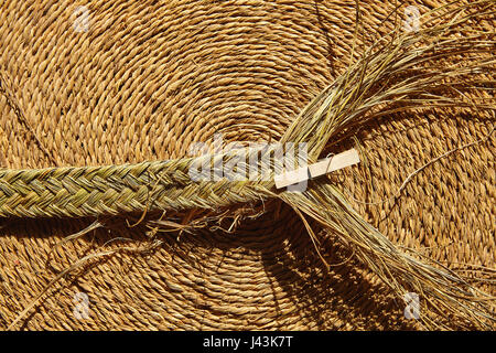 Sparto halfah erba utilizzato per l'artigianato come corde e basketry " espadrilles " Foto Stock