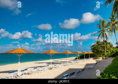 Fila di ombrelloni e sedie a sdraio di fronte al mare dei Caraibi sulla Seven Mile Beach, Grand Cayman, Isole Cayman Foto Stock