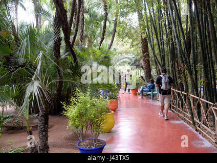 Marrakech, Marocco. Xxi Aprile, 2017. Vista del Giardino Majorelle a Marrakech, Marocco, 21 aprile 2017. Il giardino botanico è stato acquistato dal francese fashion designer Yves Saint Laurent e la sua vita e il suo partner commerciale Pierre Berge. Dopo la sua morte nel 2008, le sue ceneri sono state sparse nel giardino di rose. Foto: Jens Kalaene/dpa-Zentralbild/ZB/dpa/Alamy Live News Foto Stock