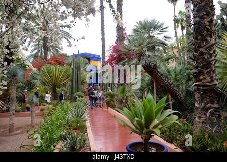 Marrakech, Marocco. Xxi Aprile, 2017. Vista del Giardino Majorelle a Marrakech, Marocco, 21 aprile 2017. Il giardino botanico è stato acquistato dal francese fashion designer Yves Saint Laurent e la sua vita e il suo partner commerciale Pierre Berge. Dopo la sua morte nel 2008, le sue ceneri sono state sparse nel giardino di rose. Foto: Jens Kalaene/dpa-Zentralbild/ZB/dpa/Alamy Live News Foto Stock