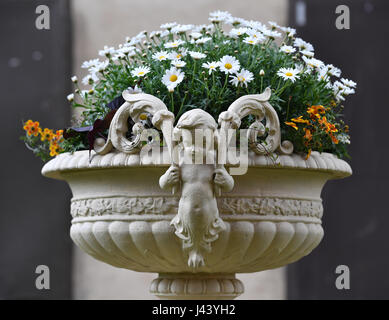 Eisenach, Germania. 9 maggio 2017. I fiori sbocciano i fiori nella parte anteriore del castello Wilhelmsthal vicino a Eisenach, Germania, 9 maggio 2017. Il 'Stiftung Thueringer Schloesser und Gaerten' (lit. 'Fondazione Turingia Castelli e giardini') celebra la settimana dell'apertura di stagione con un cerimoniale di agire presso il castello e parco Wilhelmsthal come evidenziare. La manifestazione fa parte del Luther Giubileo 2017. Foto: Martin Schutt/dpa-Zentralbild/dpa/Alamy Live News Foto Stock