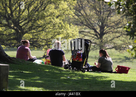 Balloch, UK. 9 maggio 2017. Un'altra bella giornata di Balloch Castle Country Park. Credito: ALAN OLIVER/Alamy Live News Foto Stock