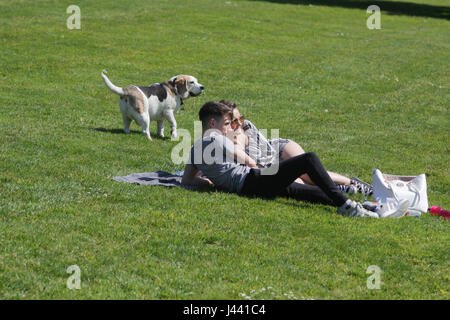 Balloch, UK. 9 maggio 2017. Un'altra bella giornata di Balloch Castle Country Park. Credito: ALAN OLIVER/Alamy Live News Foto Stock