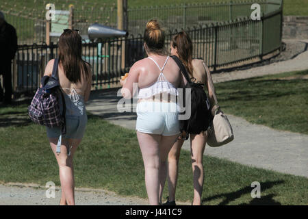 Balloch, UK. 9 maggio 2017. Un'altra bella giornata di Balloch Castle Country Park. Credito: ALAN OLIVER/Alamy Live News Foto Stock