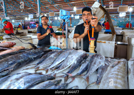 Bandar Abbas, Hormozgan Provincia, Iran - 15 aprile, 2017: freschi refrigerati Pesci tonno giace sul ghiaccio in una coperta dal mercato del pesce, persiano due venditori di fumo Foto Stock