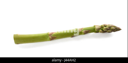 Asparagi freschi isolati su sfondo bianco Foto Stock