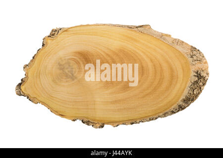 Il blocco di legno tagliato da un albero isolato su bianco. Foto Stock