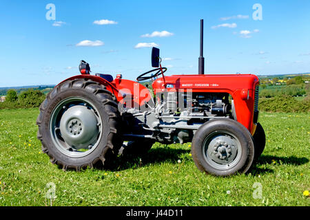 Un vintage Massey Ferguson trattore 35. Registrazione WAM 375 sul display a 2017 Westbury trasporto e raccolta Vintage, Bratton, Wiltshire, Regno Unito. Foto Stock