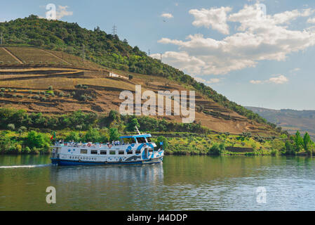 Crociera Portogallo Douro, una nave da crociera che porta escursionisti capi giù il fiume Douro Valley vicino al vino di Porto Città di Pinhao, Portogallo Foto Stock