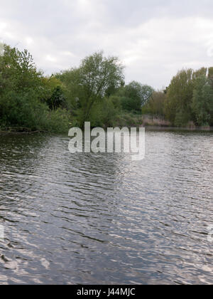 Fiume verticale shot del lago con alberi al di sopra di un sacco di acqua al di fuori nella primavera del tardo pomeriggio lussureggiante Foto Stock
