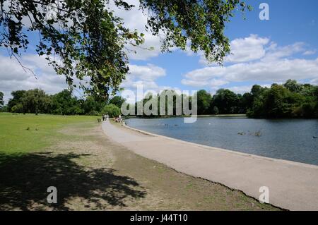 Verulamium Park, St Albans, Hertfordshire, è impostato su 100 acri di splendidi parchi vicino al centro della città Foto Stock