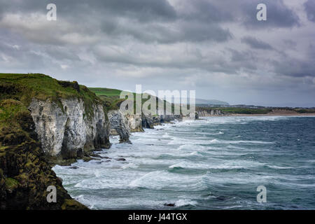 Le spettacolari scogliere sul mare a rocce bianche vicino Portrush su Causeway costa della contea di Antrim in Irlanda del Nord Foto Stock