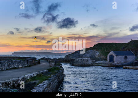 Ballintoy Porto sulla costa di Causeway di North Antrim tra Bushmills e Ballycastle in Irlanda del Nord. Visto qui all'alba. Foto Stock