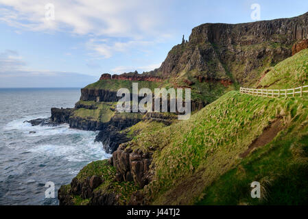 Spettacolare costa al Giant's Causeway sulla costa Causeway bear Bushmills in Moyle Paese Antrim in Irlanda del Nord Foto Stock