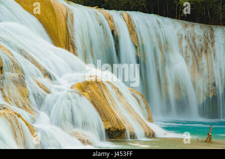 Agua Azul in Chiapas, Messico Foto Stock