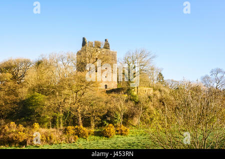 Cardoness Castle quattrocentesca torre casa vicino a Gatehouse of Fleet in Dumfries & Galloway Scozia Scotland Foto Stock