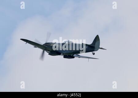 Spitfire TE311 battenti a Shuttleworth con un primer nero sottostrato nel mezzo di un nuovo schema di colori Foto Stock