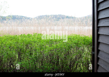 Dintorni della famosa casa Brecht-Weigel a Schermützelsee vicino Bukow, Brandeburgo, Germania Foto Stock