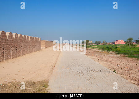 Lavori di restauro in cima bhatner fort Rajasthan in India con alberi di acacia e una vista di edifici in mattoni sotto un cielo blu in primavera Foto Stock