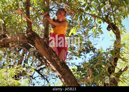 Un ragazzo si arrampica su un albero in Myanmar Foto Stock