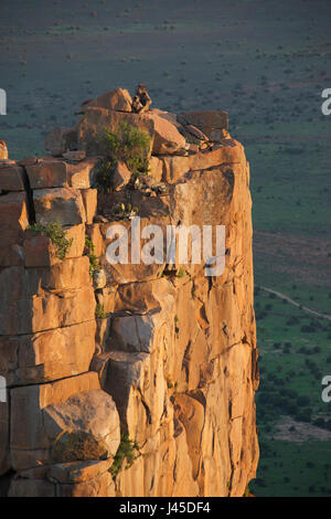 I babbuini colonne di dolerite al tramonto Valle della desolazione Graaff Reinet Eastern Cape Sud Africa Foto Stock