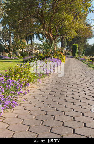 Sentiero di pietra attraverso cespugli fioriti e alberi tropicali ornamentali giardino Foto Stock