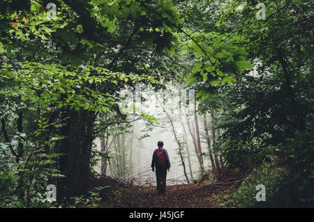 L'uomo escursionismo su misty sentiero forestale con fogliame verde e la vegetazione lussureggiante paesaggio estivo Foto Stock