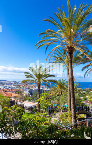 Vista delle palme e dell'Oceano Atlantico a Tenerife, Spagna Foto Stock