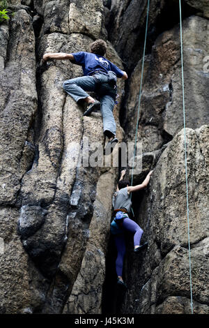 Gli arrampicatori arrampicata su una parete, Sokoliki, Polonia. Foto Stock