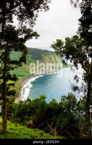 Vista sulla vallata Waipio sulla Big Island, Hawaii, Stati Uniti d'America. Foto Stock