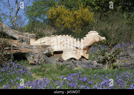 Dragon figura intagliata da caduto albero tronco Foto Stock