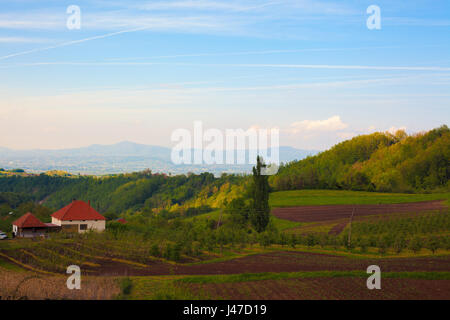 Villaggio serbo paesaggio, primavera tempo durante il giorno. Foto Stock