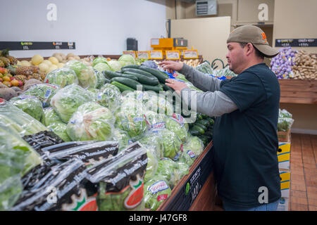 Un lavoratore dispone di produrre la recente riapertura Stile il Mercato degli Agricoltori in Hell's Kitchen quartiere di New York domenica 7 maggio, 2017. Dopo essere stato costretto ad uscire dalla loro posizione originale, dove era stata tor oltre vent anni, quasi tre anni fa perché il palazzo fu venduto e sviluppato il mercato popolare, noto per la sua convenienza e qualità, ha riaperto a pochi isolati dalla sua posizione originale sulla Nona Avenue. (© Richard B. Levine) Foto Stock