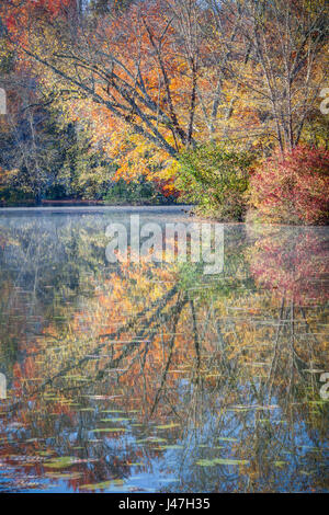 Colorato autunno lascia piegare all'acqua in autunno Foto Stock