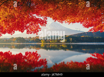 Mt.Fuji in autunno su sunrise al lago Kawaguchiko, Giappone. Foto Stock