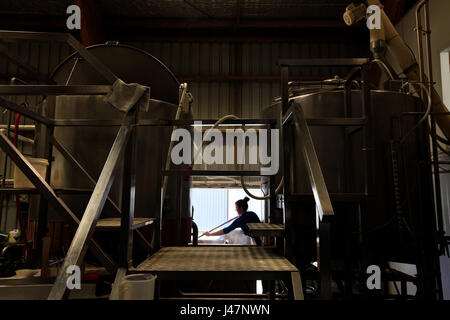 Il birraio Ffion Jones presso il ciuffo e Fern birreria, Nelson, Nuova Zelanda Foto Stock