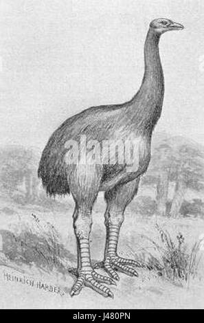 MOA BW si riferisce probabilmente a una fotografia o a un'immagine, con l'acronimo "Moa" che potrebbe riferirsi a un luogo, a un evento o a un significativo riferimento culturale in un contesto storico. Foto Stock