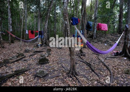 Il campeggio a El Mirador una grande pre-colombiana insediamento Maya, ubicato in un sito remoto nel profondo della giungla nel nord del dipartimento moderno di El Petén, Guatemala Foto Stock