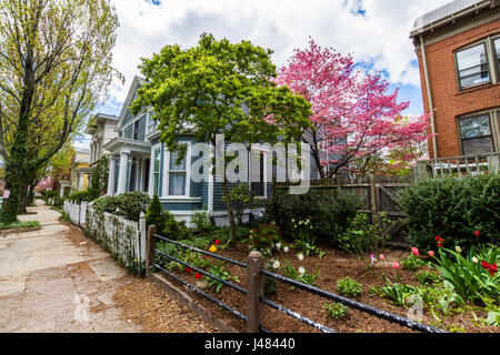 Il quartiere storico di Corte Street in Wooster Square a New Haven, Connecticut Foto Stock