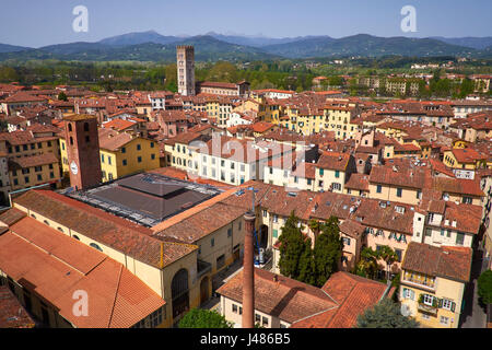Guardando fuori dalla Torre Guinigi attraverso la Piazza dell'Anfiteatro a Lucca, Italia verso gli Appennini. Foto Stock