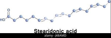 Stearidonico è un omega 3 acido grasso, talvolta chiamato moroctic acido, essa viene biosintetizzato da ALA. Fonti di ciò che sono gli oli di semi di canapa, blackcu Illustrazione Vettoriale