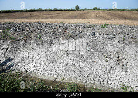 Incrinato il fango è esposta su una fossa di scolo accanto a un campo sul Somerset livelli come crescono i timori per una siccità estiva, a seguito di uno degli inverni più secchi negli ultimi due decenni. Foto Stock