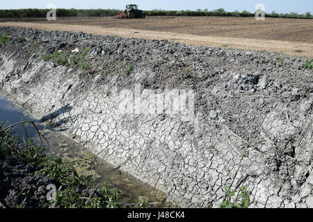 Incrinato il fango è esposta su una fossa di scolo accanto a un campo sul Somerset livelli come crescono i timori per una siccità estiva, a seguito di uno degli inverni più secchi negli ultimi due decenni. Foto Stock